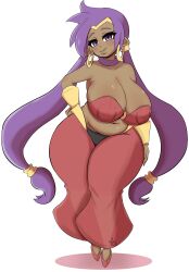 shantae (character) from shantae by yasuartz