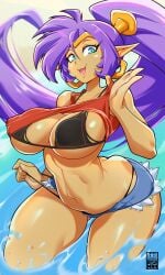 1girls bayeuxman beach big_breasts bra cat_smile dark-skinned_female earrings female female_only genie genie_girl long_hair mischievous_smile nipple_bulge oerba_yun_fang ponytail shantae shantae_(character) short_shorts solo teasing teasing_viewer thong thong_pull top_pull underwear undressing