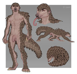 1boy abs anthro caraid feet feral flaccid humanoid_penis long_tongue looking_at_viewer male male_only mammal model_sheet muscular muscular_male nude pangolin penis solo testicles tongue uncut