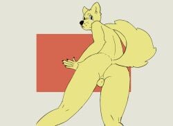 anthro ass backsack balls canid fur genitals hi_res looking_at_viewer looking_back male male_focus male_only mammal presenting presenting_hindquarters simple_background smolt solo yellow_body yellow_fur