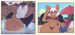 1boy 1girls ass bat bat_wings big_ass big_breasts bikini clothing huge_ass huge_breasts iaredumbo knuckles_the_echidna male rouge_the_bat sonic_(series) thick_thighs