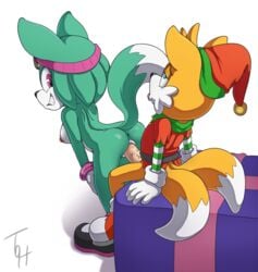 2017 anthro anus ass canine christmas eyewear female fox from_behind_position fur goggles holidays male mammal nude penetration penis pussy raised_tail sex simple_background sonar_the_fennec sonic_(series) sonic_the_hedgehog_(archie) sonic_the_hedgehog_(comics) sonic_the_hedgehog_(series) straight tails the_other_half vaginal_penetration video_games