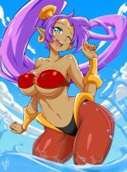 1girls bayeuxman beach big_breasts dancer_outfit dark-skinned_female female female_only genie genie_girl jpeg nipple_bulge ponytail shantae shantae_(character) signature skimpy_clothes solo standing water