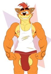 anthro anti_dev balls bandicoot clothing crash_(series) crash_bandicoot ear_piercing fur furry furry_only gay jockstrap male male_on_male male_only mammal marsupial piercing solo underwear video_games yaoi