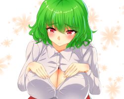 1girls button_gap cleavage closed_mouth d_ginac_e green_hair huge_breasts kazami_yuuka looking_at_viewer red_eyes short_hair solo touhou whiet_shirt white_background yuka_kazami yuuka_kazami