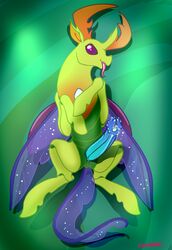 changeling erection feral friendship_is_magic keishinkae king_thorax_(mlp) lying male male_only my_little_pony on_back penis prehensile_penis presenting solo thorax_(mlp)