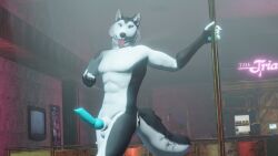 3d dick furry husky mrmuskyhusky mrmuskyhusky_(character) nsfw poledance pose stripclub