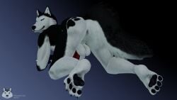 3d_(artwork) anthro ass dick fur furry husky mrmuskyhusky mrmuskyhusky_(character) nsfw