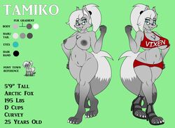 anthro arctic_fox breasts canine cleavage clothed clothing dekomaru eyewear female fox glasses grey_nipples hair mammal model_sheet navel nipples nude pussy thehotroom white_hair