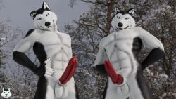 anthro brother brothers dick fur furry husky identical_twins male_focus male_only mrmuskyhusky mrmuskyhusky_(character) snow twin_brothers twins winter