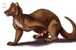 >:p anatomically_correct brown_fur erection feral fossa fur grin knot looking_at_viewer male male_only mammal multi_knot penis precum solo tagme tongue tongue_out unknown_artist yellow_eyes