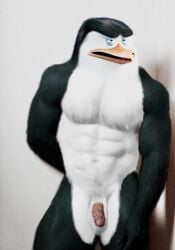 anthrofied avian beak bird dreamworks feathers fur genitals lumpii madagascar_(series) male male_focus male_only multicolored_body multicolored_feathers penguin penis skipper_(madagascar) solo the_penguins_of_madagascar two_tone_body two_tone_feathers