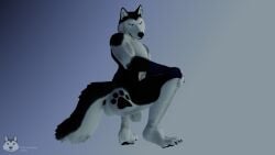 3d anthro ass dick fur furry furry_only husky mrmuskyhusky mrmuskyhusky_(character) nsfw