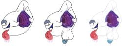 anal anal_masturbation anonymous_artist anus autorimming balls bodily_fluids boo_(mario) cum destroyed_anus drooling fangs gaping gaping_anus genital_fluids genitals ghost half-closed_eyes huge_gape hyper_gape male mario_bros masturbation monster narrowed_eyes nintendo oral oral_masturbation penis purple_anus ruined_anus saliva saliva_string sleepy_boo_(super_mario_sunshine) solo spirit super_mario_sunshine tail teeth tongue tongue_out tunnel_gape wrecked_ass