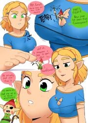princess zelda from tears of the kingdom by punishedmosquito