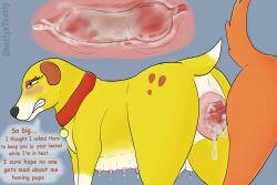 3:2 absurd_res animal_genitalia animal_penis animal_pussy belly blush bodily_fluids breast_milking breeding_kink canid canine canine_genitalia canine_penis canine_pussy canis collar collar_tag cum cum_inside cum_while_penetrated dialogue domestic_dog ejaculation english_text female feral floppy_ears fur genital_fluids genitals ghostyxtoasty hi_res internal knot knotted_penis knotting lactating male male/female mammal martha_lorraine martha_speaks multi_nipple nipples penetration penis pink_nipples pregnant pregnant_female pussy raised_tail spots sweat sweatdrop tail text vaginal_penetration white_belly yellow_body yellow_fur