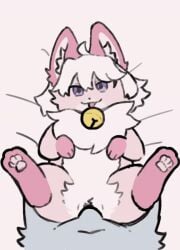2d_animation animated anthro bell bell_collar canid canine collar digital_media_(artwork) duo female feral from_front_position fur genitals hair hinemi_kon_(hinemi_kon) katla_(artist) looking_at_viewer loop lying male male/female male_penetrating mammal missionary_position neck_tuft on_back pawpads penetration penile penile_penetration penis pink_body sex short_playtime simple_background smile tongue tongue_out tuft vaginal_penetration white_hair