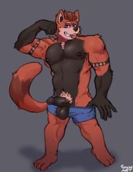 2023 4_toes 5_fingers ailurid anthro areola arm_tattoo armpit_tuft artist_name balls barbell_piercing big_balls biped blue_eyes boxers_(clothing) boxers_only brown_hair circumcised clenched_teeth clothed clothing clothing_pull clubs_(suit) colored diamonds_(suit) erection feet fingers flexing flexing_bicep front_view full-length_portrait fur genitals glans grey_background grey_body grey_fur hair heart_symbol hearts_(suit) hi_res humanoid_feet humanoid_genitalia humanoid_hands humanoid_penis looking_at_viewer male male_only mammal muscular muscular_anthro muscular_male nipple_barbell nipple_piercing nipples orange_body orange_fur penis piercing plantigrade portrait presenting presenting_penis pubes red_panda short_hair simple_background smile solo spades_(suit) standing suit_symbol tail tattoo teeth text toes tonchii tongue tongue_out topless topless_anthro topless_male underwear underwear_only underwear_pull vein veiny_penis