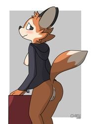 2017 anthro anus areola ass blush breasts c1-11131 canine clothed clothing darma female fox fur hi_res hoodie looking_at_viewer mammal nipples pussy rock_dog simple_background smile solo standing