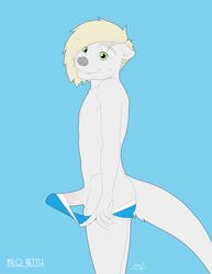 2017 anthro ass balls biting_lip blonde_hair briefs clothed clothing erection fringe fur green_eyes hair hi_res looking_at_viewer male male_only mammal milo_nettle mustelid nipples otter partially_clothed penis side_view signature simple_background slink_(character) solo striptease teasing teeth twink underwear underwear_pull white_fur