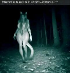 1girls 2024 artist_request big_breasts black_hair breasts canid canine edit edited female female_only furry furry_only hair_covering_breasts hair_covering_nipples hi_res long_hair mal0 malo mammal meme night night_sky night_vision photo_editing pov scp-1471 scp-1471-a scp_containment_breach scp_foundation spanish spanish_text tail thick_thighs trail_cam trees woods