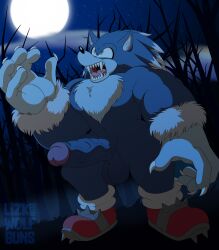 anthro balls big_balls big_penis boner erection furry male male_only penis sega solo solo_male sonic_(series) sonic_the_hedgehog sonic_the_werehog werehog wolfbuns