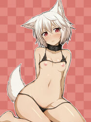 animal_ears areolae bikini black_bikini blush breasts collar female highres looking_at_viewer micro_bikini momiji_inubashiri navel negija nipples red_eyes short_hair small_breasts solo swimsuit tail touhou white_hair wolf_ears wolf_tail