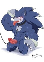 anthro balls blush boner collar collar_and_leash erection furry kenzofong male male_only muscles muscular nude penis sega solo solo_male sonic_(series) sonic_the_hedgehog sonic_the_werehog tongue_out werehog