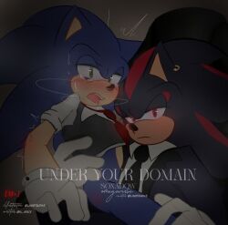 shadow the hedgehog from sega by linstar45