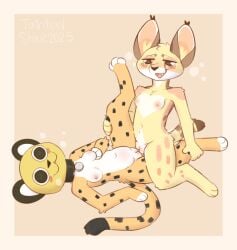 2025 anthro breasts brown_eyes canid canine cheetah collar digital_media_(artwork) duo felid feline female female/female fennec_fox fox genitals heart_(marking) heart_pupils mammal markings mascot_costume nude open_mouth opie_(sleepysheepy17) pussy sex signature simple_background spots spotted_body taintedstar tribadism true_fox vaginal_penetration vulva