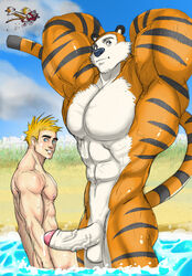 2boys aged_up anthro aqua_eyes balls beach blonde_hair calvin calvin_(c&h) calvin_and_hobbes ephorox erection feline gay hobbes human humanoid_penis hyper hyper_muscles interspecies male mammal multiple_males muscular nude pecs penis tiger veiny_penis