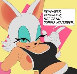 rouge the bat from sonic (series) by saransaran