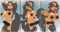 animal_genitalia animal_penis anthro balls bathing big_breasts big_penis black_penis bodily_fluids breasts brown_body brown_fur canid canine canine_genitalia canine_penis canis cum cumshot dakota_(vouivre01) domestic_dog ejaculation fur furgonomics furry-specific_piercing futanari genital_fluids genital_piercing genitals hi_res intersex knot looking_pleasured mammal mastiff masturbation moan molosser nipple_piercing nipple_ring nipples penile penile_masturbation penis piercing ring_piercing rottweiler sheath sheath_piercing shower shower_masturbation showering solo spirale tongue tongue_out water wet
