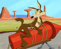 2016 anatomically_correct anatomically_correct_penis anus balls bondage bound canine coyote cum desert emptyset looking_back looney_tunes lying male male_only mammal nude on_front outside penis raised_tail rocket rope smooth_fur solo warner_brothers wile_e._coyote