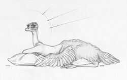 2016 avian beak bird ecmajor female feral looking_at_viewer lying on_front ostrich pillow sketch solo taur wings