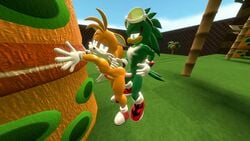 3d anal anal_sex animated anthro avian bad_3d balls canine fox furry jet_the_hawk loop male mammal nicobay1 penetration penis sonic_(series) sonic_riders tails yaoi