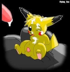 pikachu from nintendo by flying fox (artist)