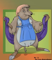 anthro apron auntie_shrew breasts furry mammal nipples pussy secret_of_nimh shrew special_k tagme