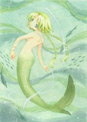 1girls bracelet braid female female_only fish green green_eyes green_hair green_tail jewelry jpg lettuce_midorikawa long_hair magical_girl mermaid mew_lettuce midorikawa_lettuce monster_girl necklace nude ribbon ribbons solo tied_hair tokyo_mew_mew topless twin_braids twintails underwater