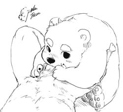 bear black_and_white blush duo fellatio line_art looking_at_viewer lying male mammal monochrome on_back oral pawpads penis penis_base polakuma pubes semi_pov sex signature sitting slightly_chubby solo_focus unknown_species yaoi