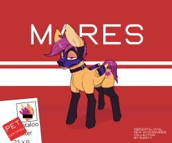 6:5 absurd_res aged_up bondage bondage bound chapaevv clothing collar cutie_mark digital_media_(artwork) english_text equid equine feathered_wings feathers female feral friendship_is_magic hair hasbro hi_res horse legwear mammal mask my_little_pony older_scootaloo_(mlp) pony scootaloo_(mlp) simple_background solo tail text weekend_pets wing_suspenders wings wings_tied