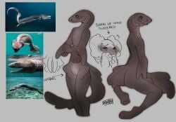 ambiguous_gender animal_genitalia animal_humanoid anthro blush brown_body chlamydoselachid claspers concept concept_art eyelashes feet female fin fish frilled_shark genitals gills hexanchiform hi_res humanoid hybrid marine marine_humanoid model_sheet original_character paws shark smile solo solo_focus solo_in_panel vampfemby