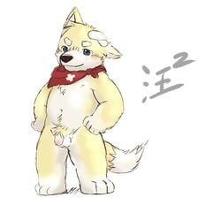 alternate_version_available balls bandage blush canine flaccid front_view hands_on_hips male male_only mammal neckerchief nipples penis polakuma pubes slightly_chubby smile solo standing