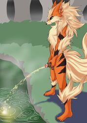 1boy anthro arcanine cam!od camiod male male_only peeing peeing_into_river peeing_into_water penis pokemon pokemon_(species) solo urine