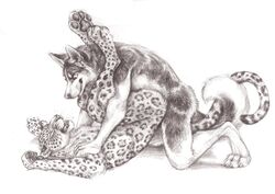 anal anthro canine feline husky kenket leopard male mammal sex yaoi