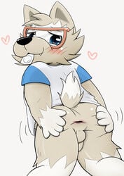 anus balls blue_eyes blush brown_fur canine clothed clothing condom eyewear fifa fur glasses heart inuwanko looking_at_viewer male male_only mammal penis solo white_fur wolf zabivaka