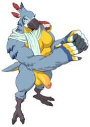 1boy anthro avian balls beak biceps bird blue_feathers breath_of_the_wild feathers half-erect humanoid_penis kass_(zelda) looking_at_viewer male male_only muscular nintendo nude pecs penis rito solo standing talons the_legend_of_zelda toomanyboners video_games yellow_eyes yellow_feathers