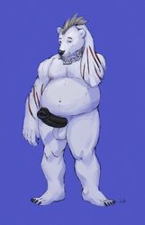 anthro balls bear big_penis collar erection humanoid_penis julicat looking_at_viewer male male_only mammal penis polar_bear solo standing