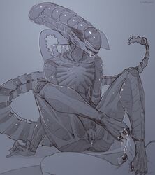 female xenomorph from alien (franchise) by tinyfaceart