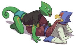 2015 anthro avian beak bird blue_feathers blue_underwear bulge clothed clothing duo falco_lombardi falcon feathers flookz gay leon_powalski lizard male male_only nintendo open_mouth penis purple_underwear red_feathers reptile scalie simple_background star_fox topless underwear video_games white_background yaoi